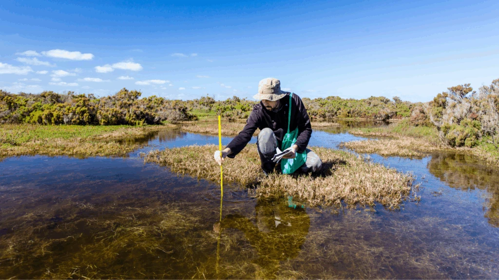 Ecological Clerks of Work (ECoW)