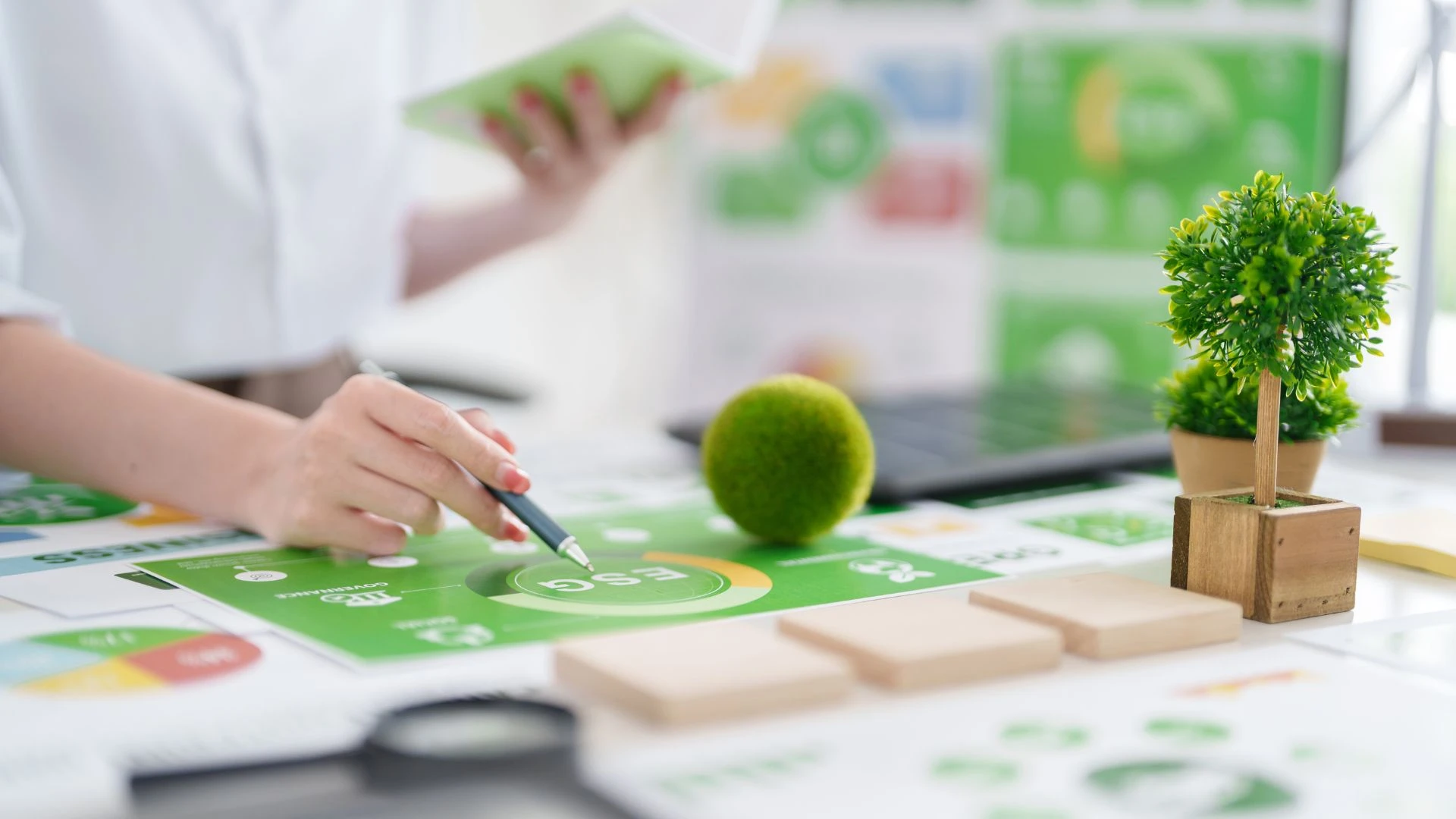 ISEP Certified Environmental Sustainability Skills for Managers