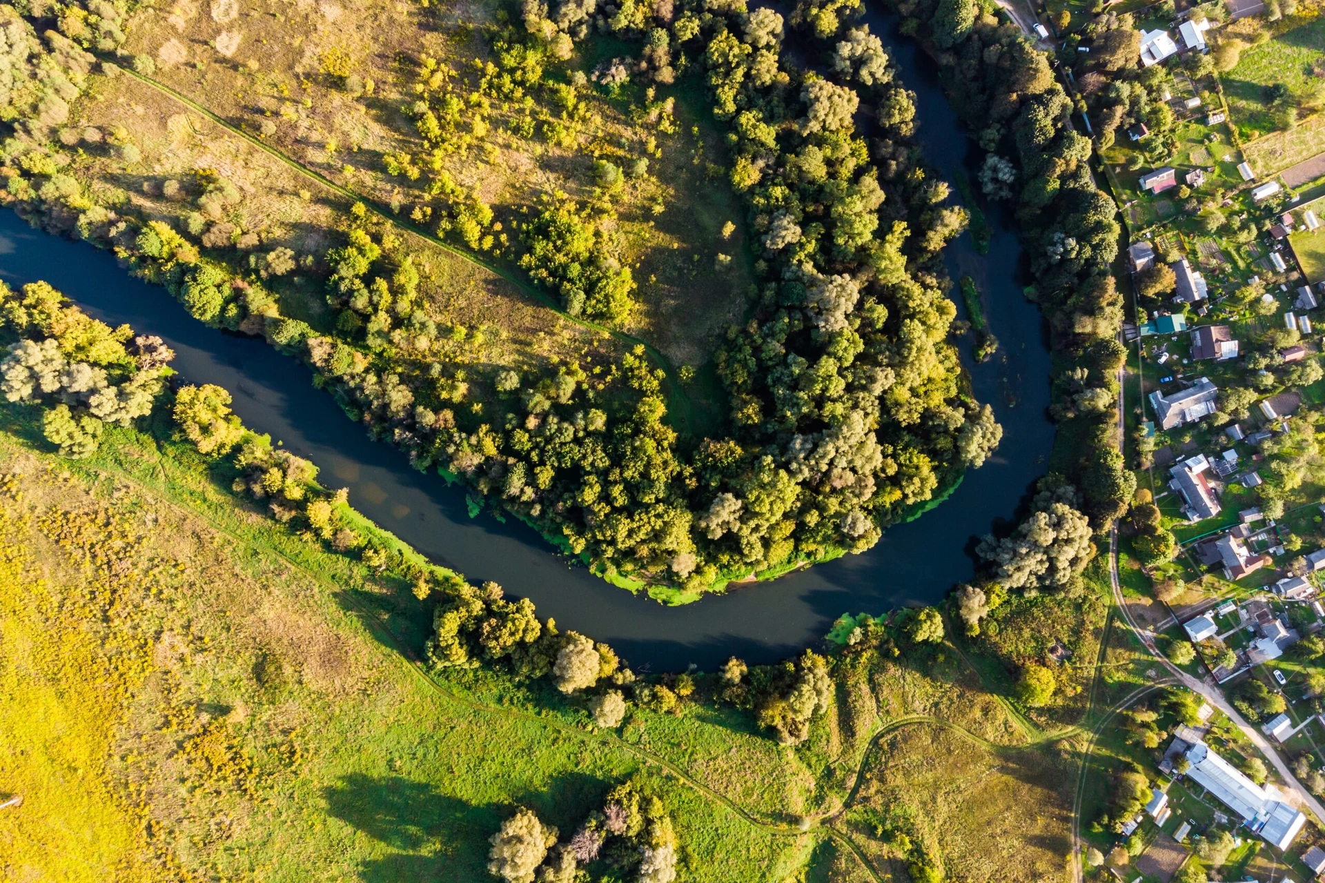 Biodiversity Net Gain (BNG)