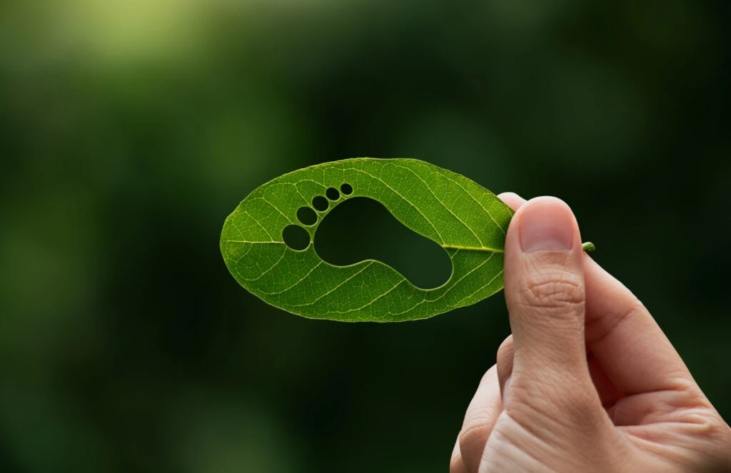 carbon-footprint consultancy