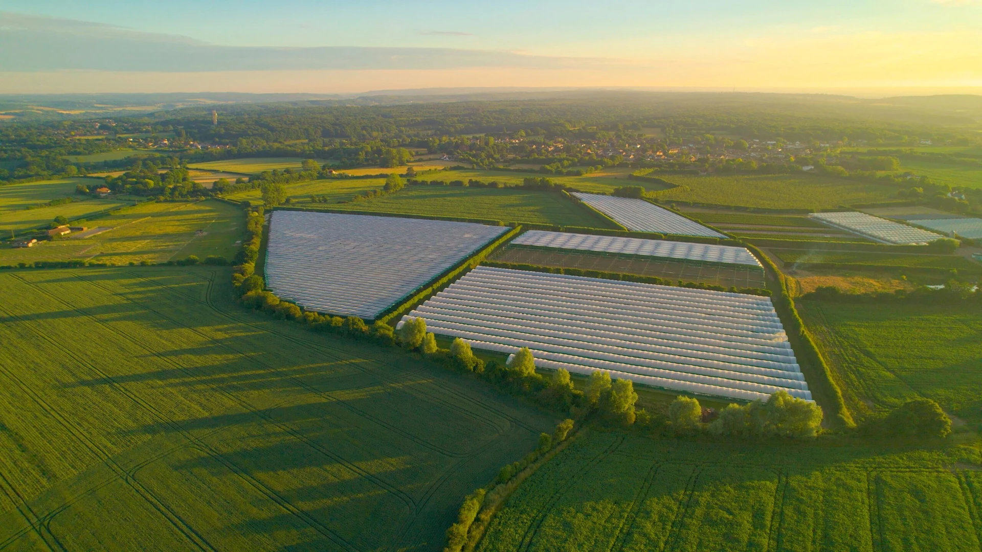 Construction Environmental Management