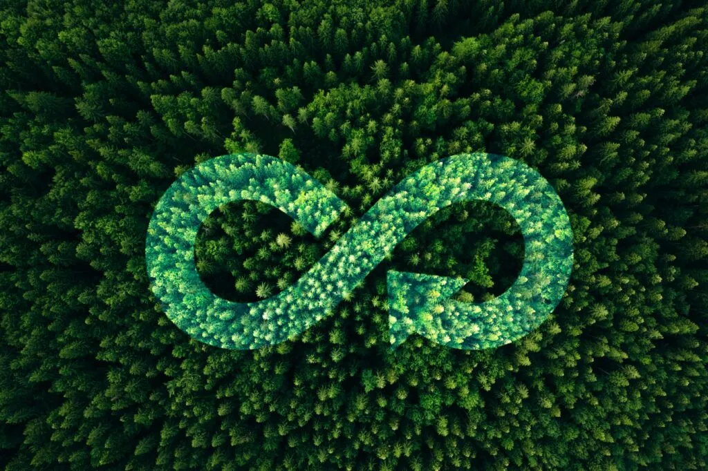 Circular Economy Consultancy