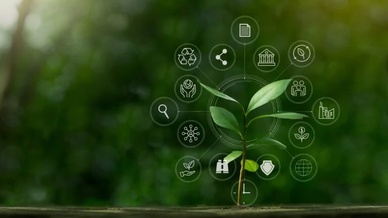 Net Zero Strategy & Climate Transition Plans