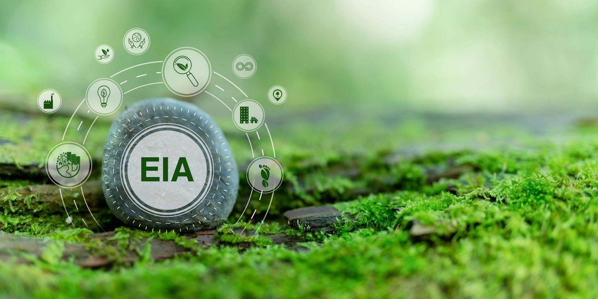 Environmental Impact Assessment