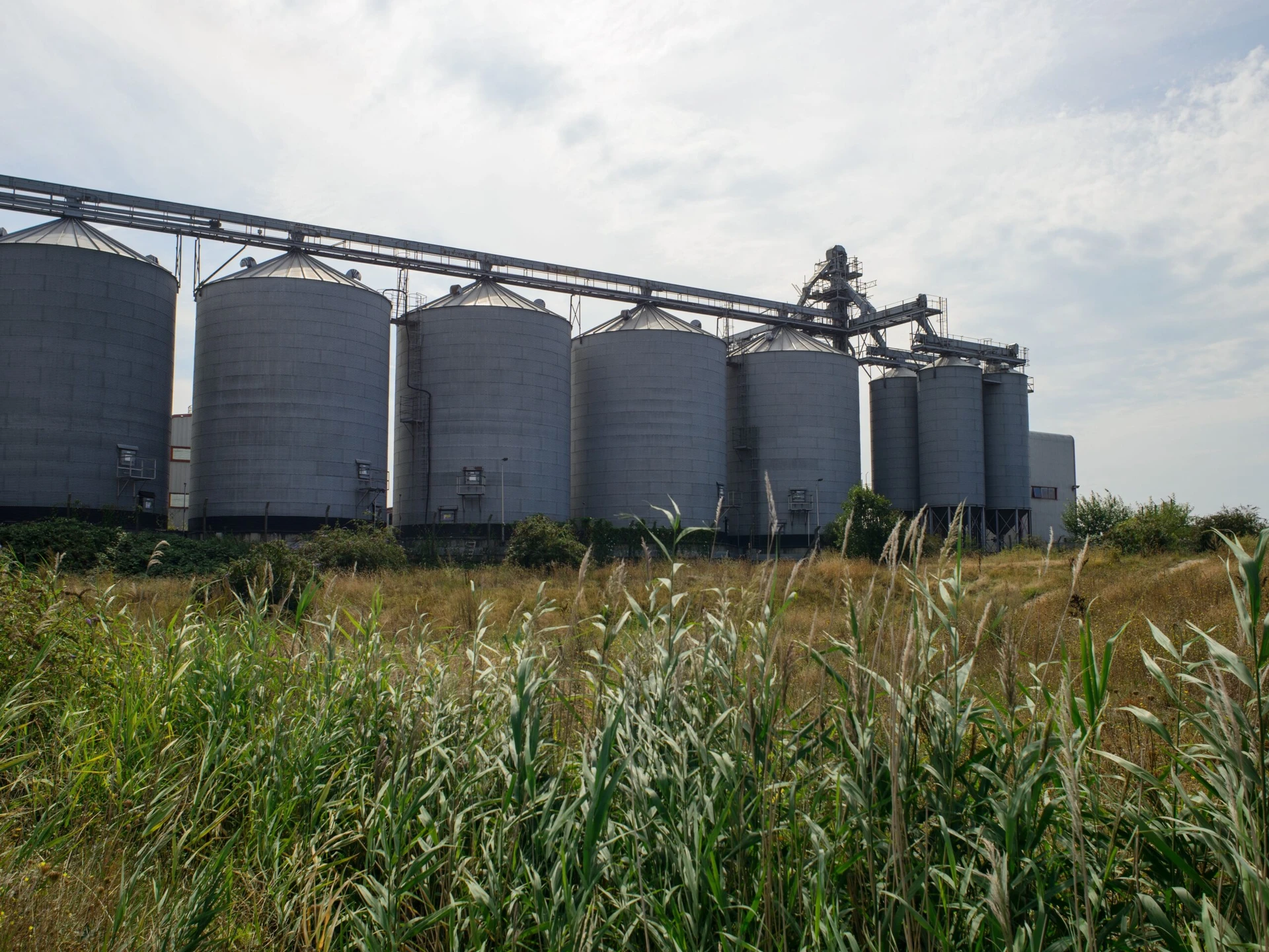 Assessment of Effects on Habitats