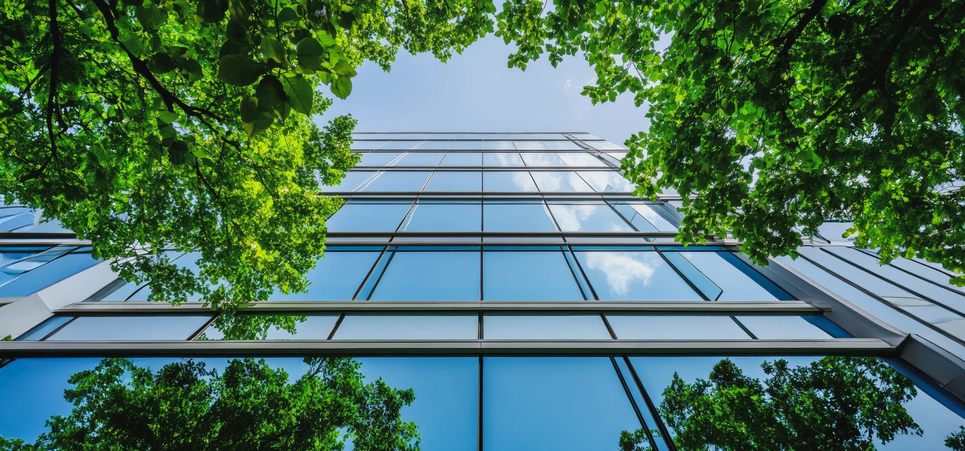 Public Sector Decarbonisation Solutions