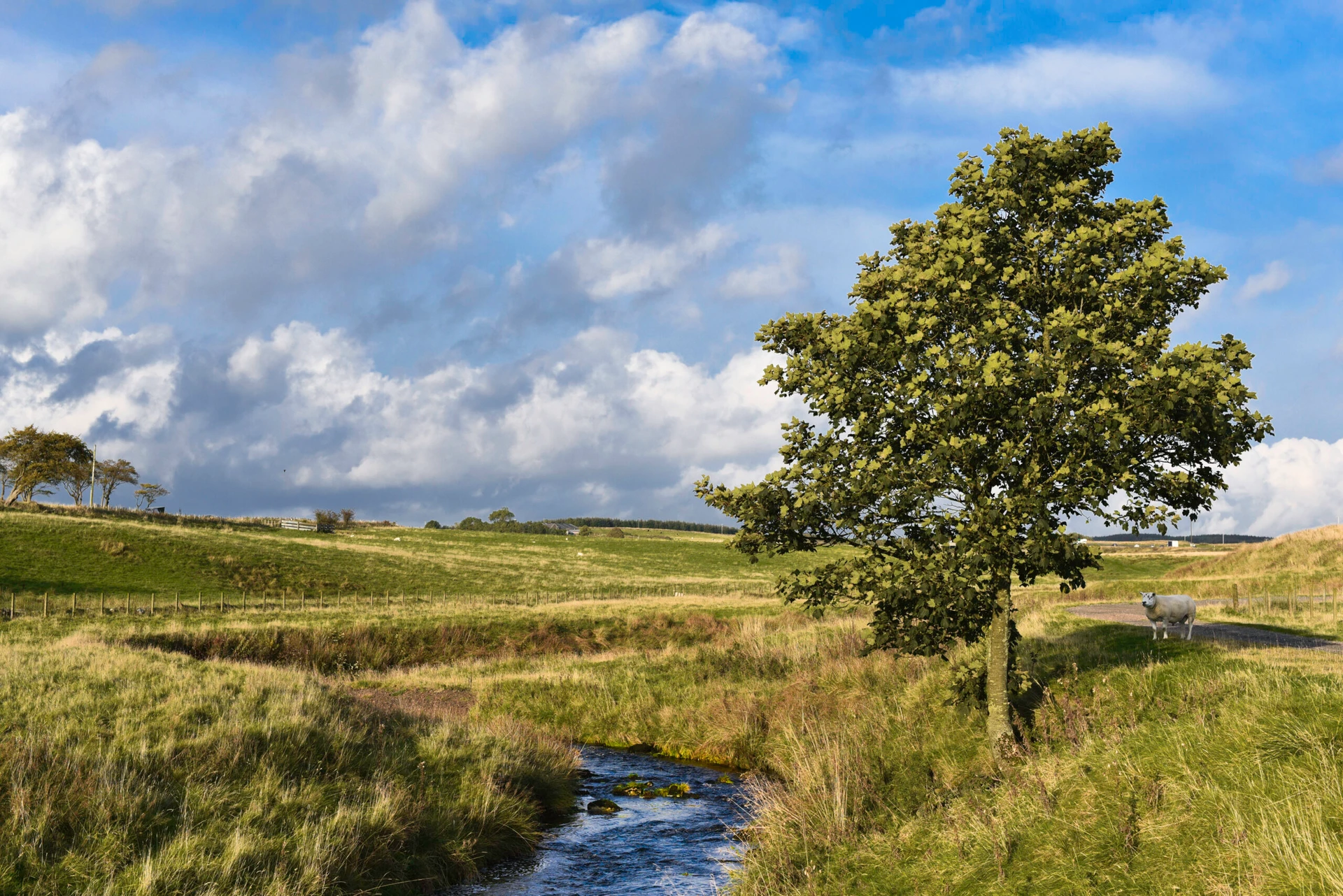 Post-Planning Support