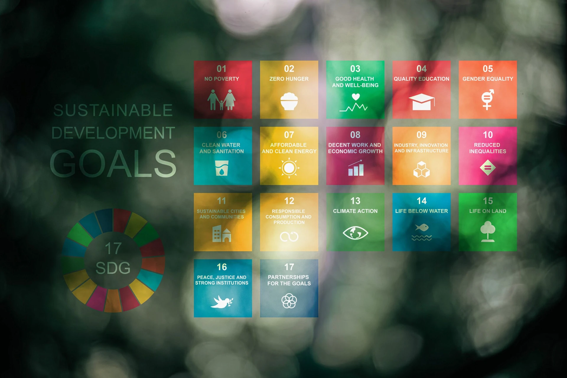 Sustainable Development Goals (SDGs)